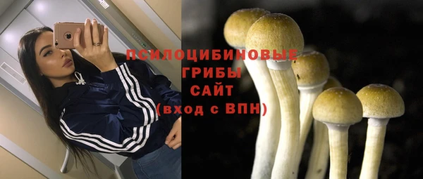 ALPHA PVP Арсеньев