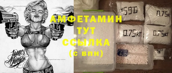 дживик Баксан