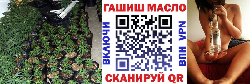купить закладку  Починок  Дистиллят ТГК концентрат 