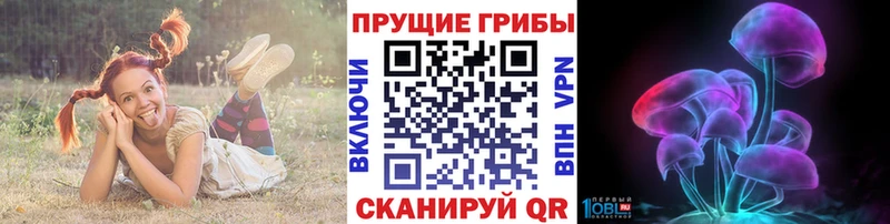 blacksprut зеркало  Починок  Галлюциногенные грибы Magic Shrooms  цены  